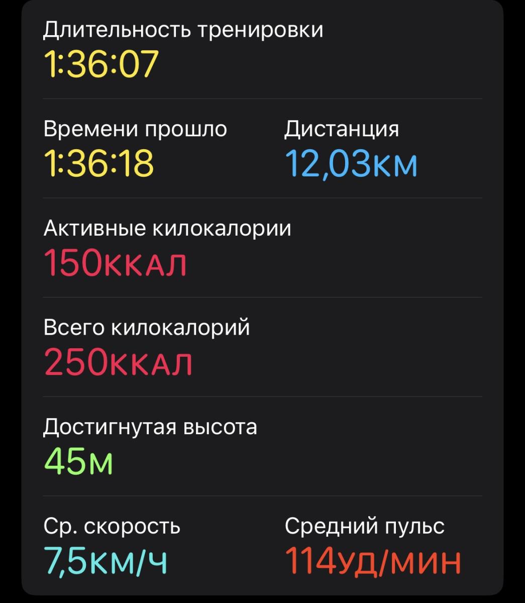 Скриншот тренировки